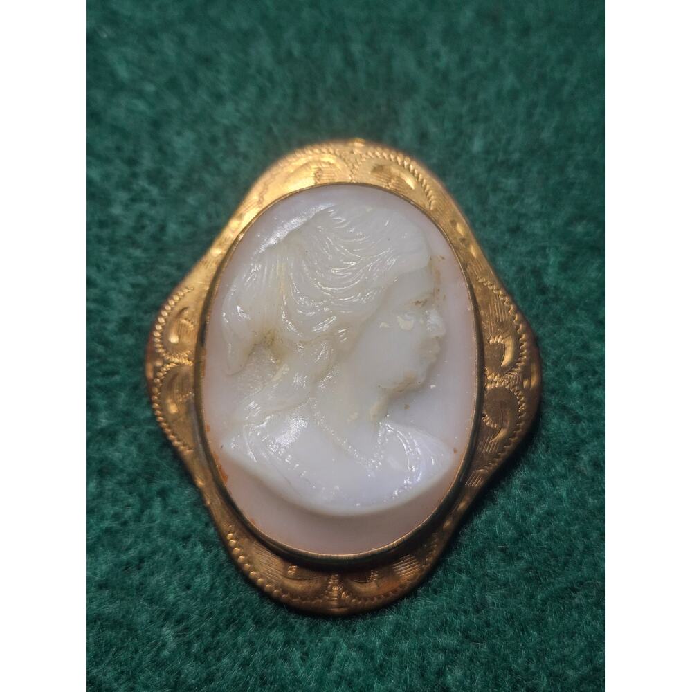 Victorian Cameo Brooch in Gold Frame